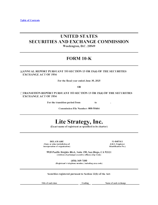 Lite Strategy Inc 2024年度报告