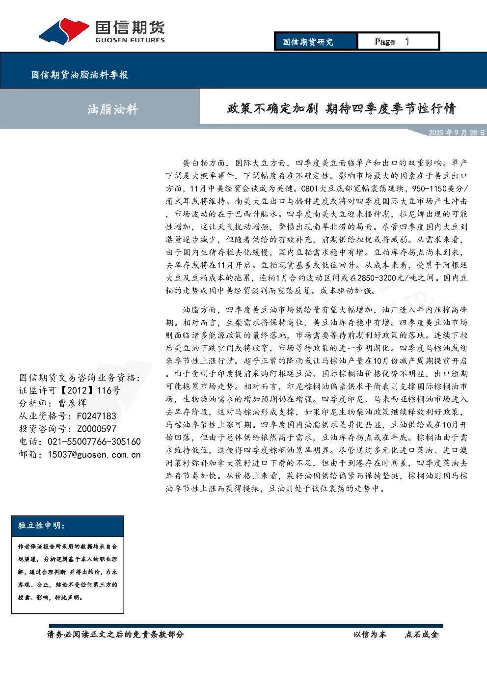 报告封面