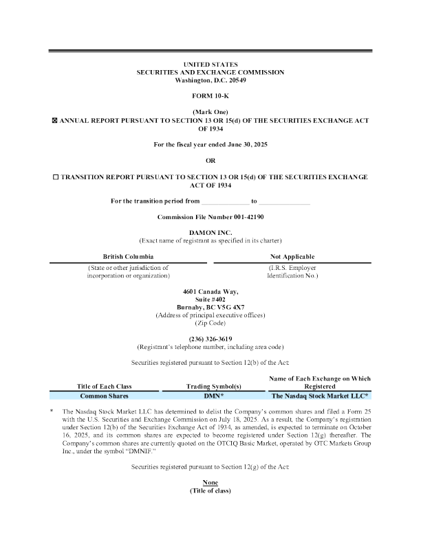 Damon Inc 2024年度报告