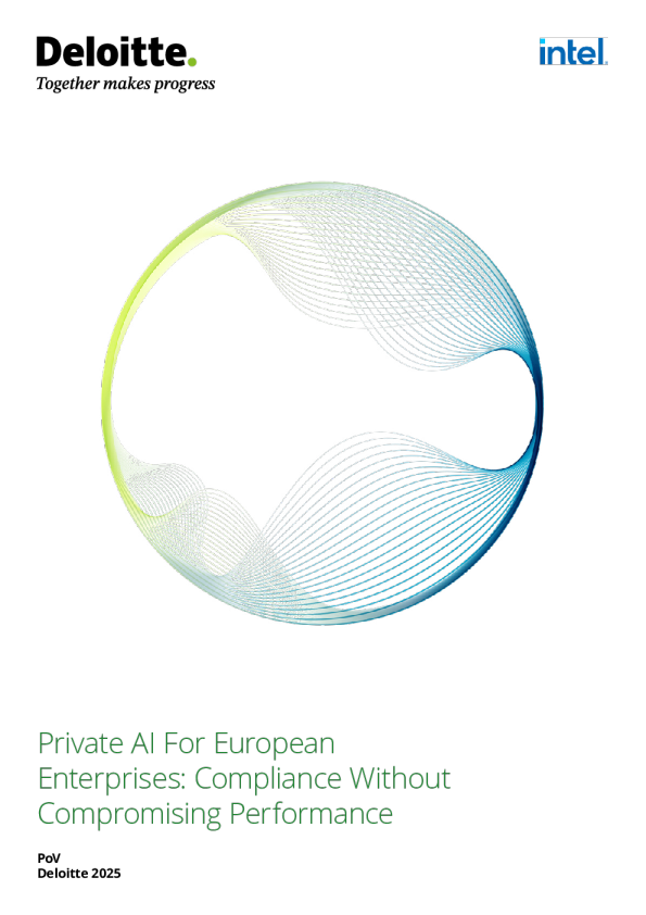 面向欧洲企业的私有AI：合规与性能的两全之道