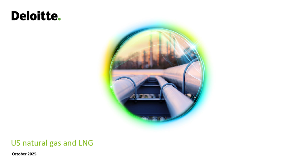 美国天然气与液化天然气(LNG)