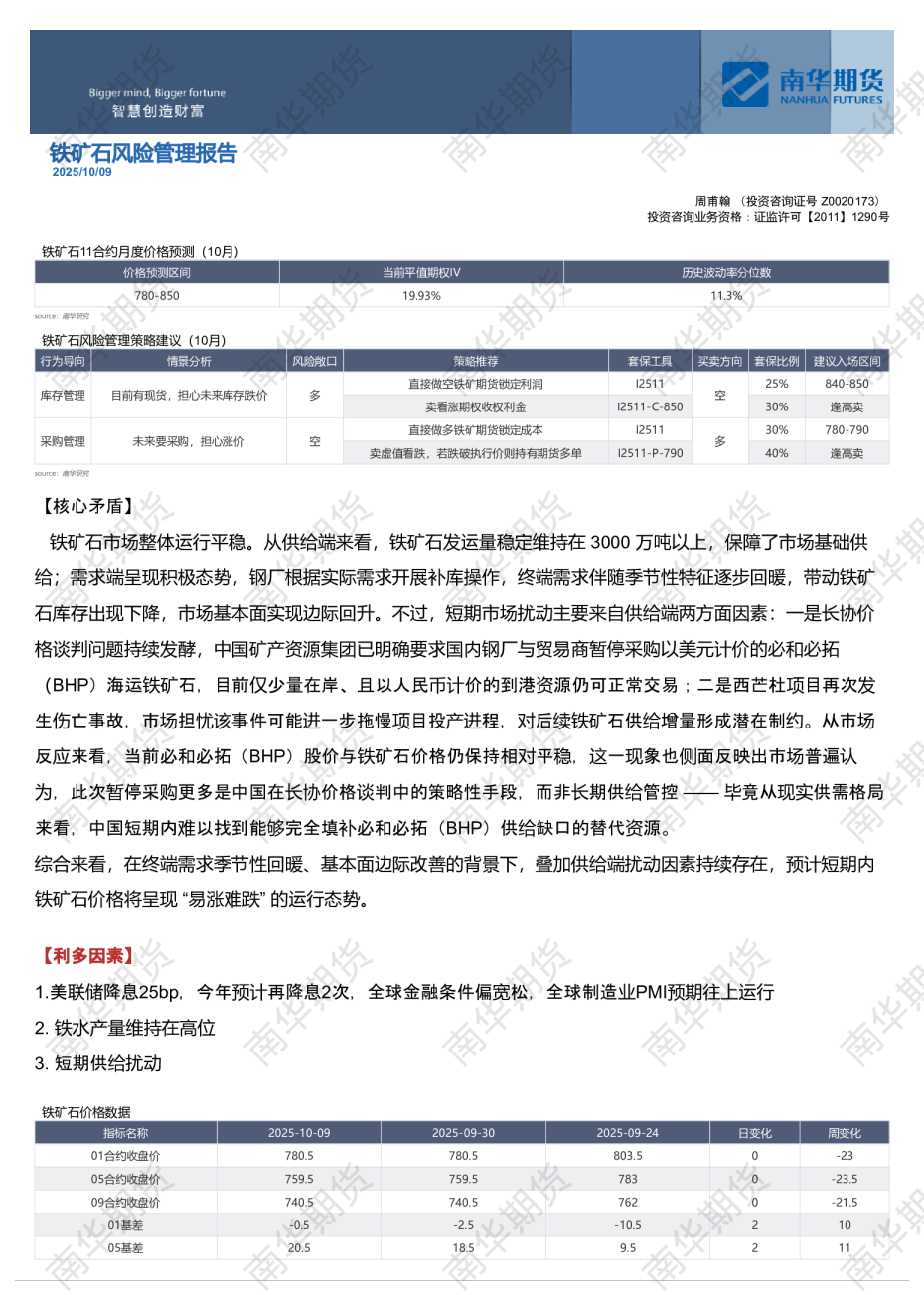 铁矿石风险管理报告