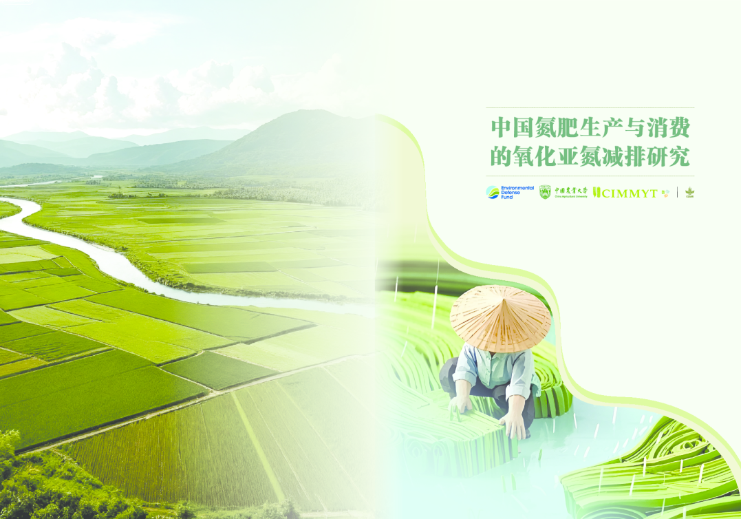 中国氮肥生产与消费的氧化亚氮减排潜力与路径分析