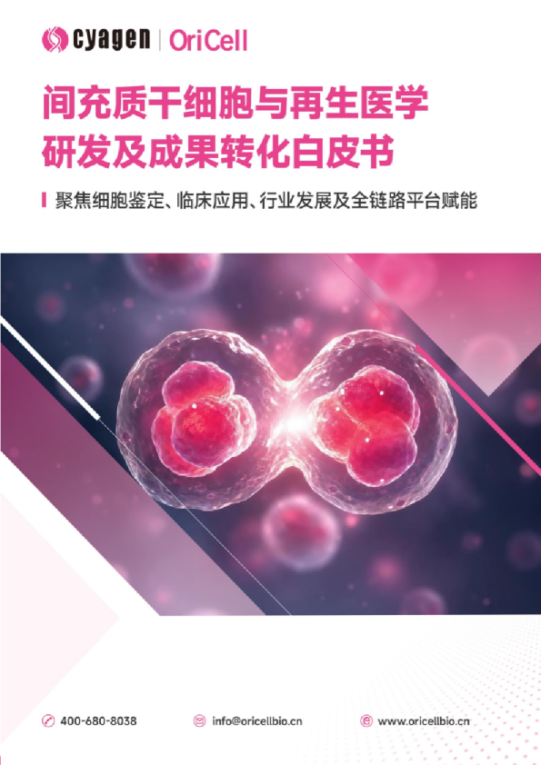 间充质干细胞与再生医学研发及成果转化白皮书