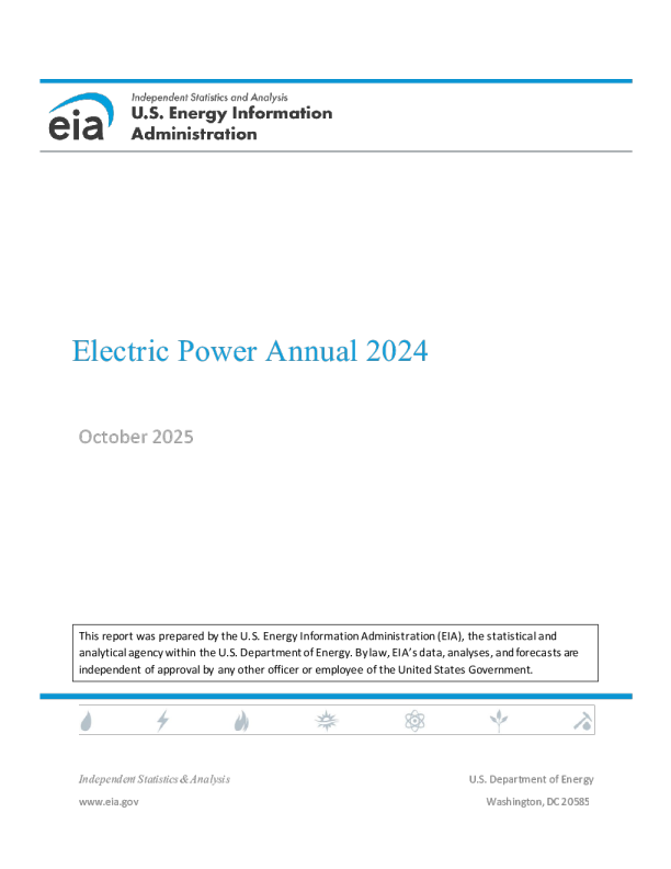 电力年度报告2024