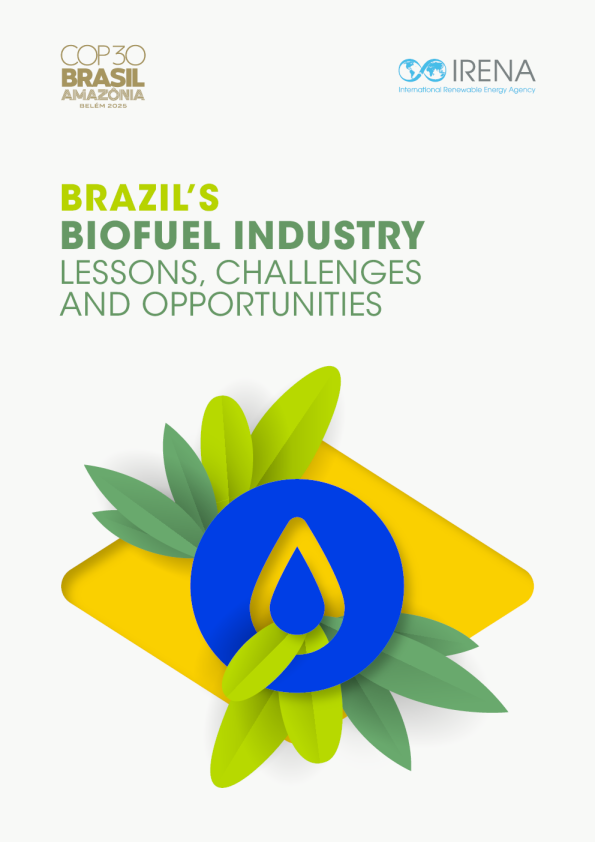 巴西生物燃料产业：经验、挑战与机遇