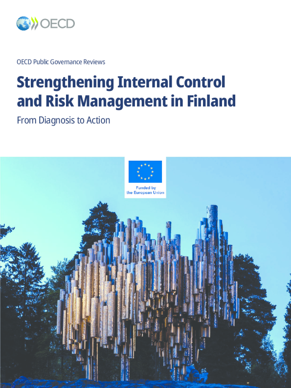 芬兰加强内部控制和风险管理：从诊断到行动