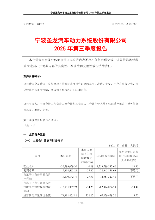 圣龙股份：圣龙股份2025年第三季度报告