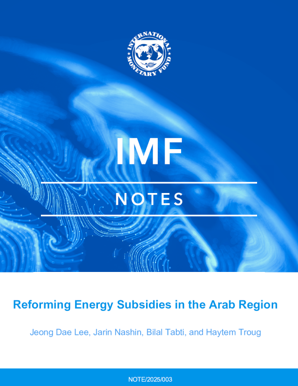 改革阿拉伯地区的能源补贴