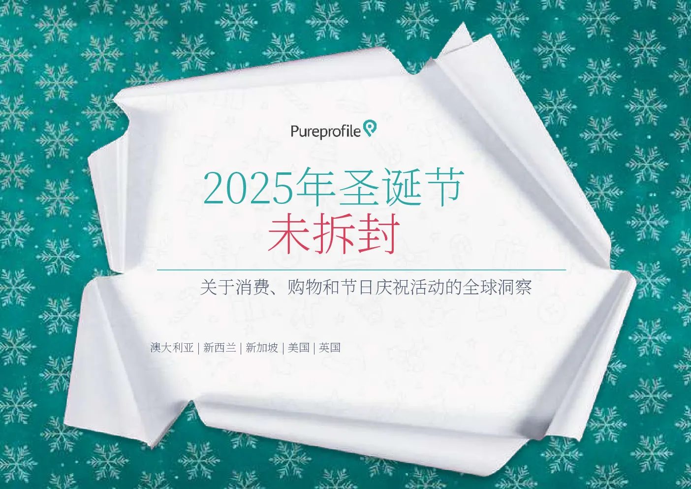 关于消费、购物和节日庆祝活动的全球洞察：2025年圣诞节