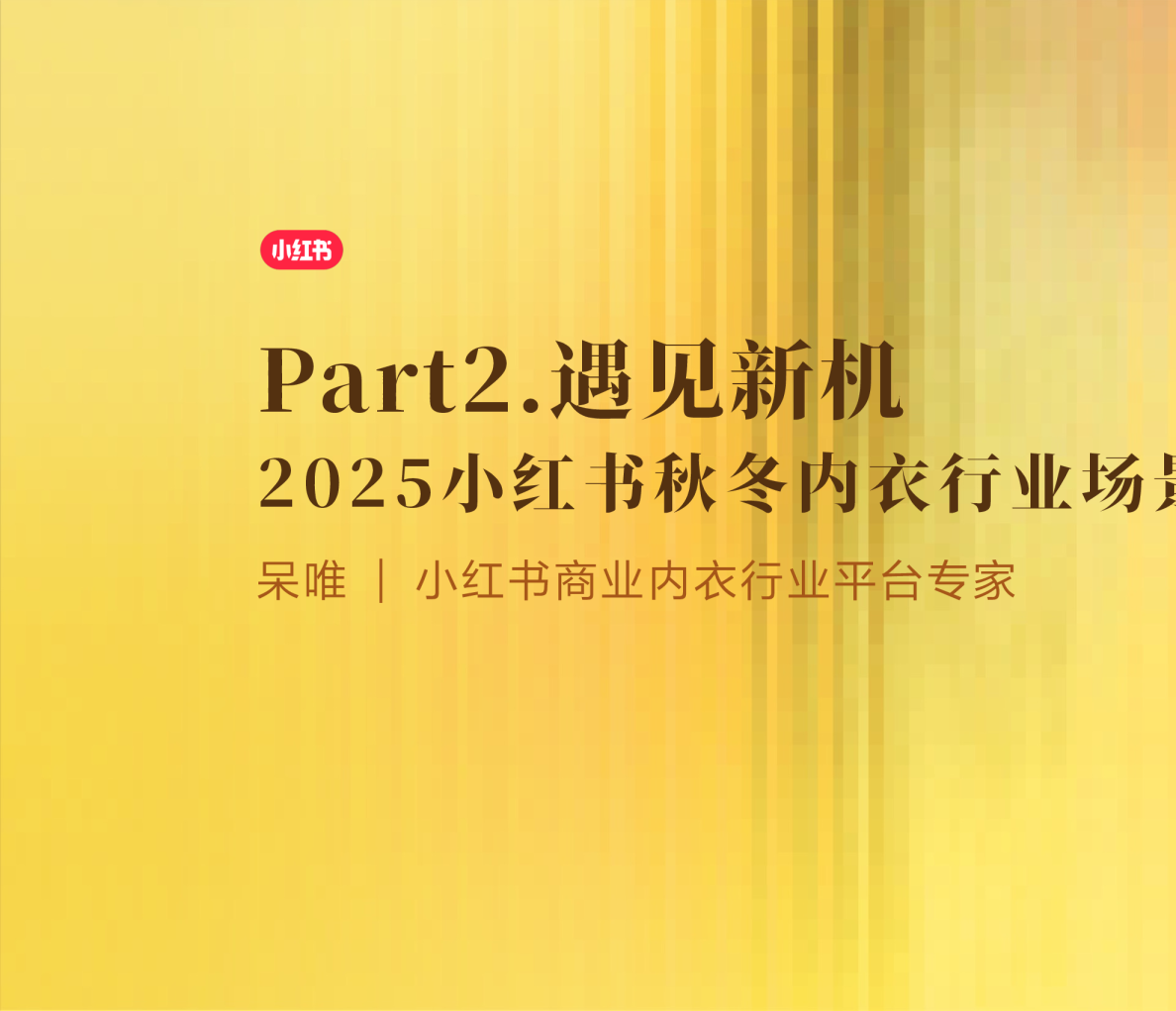 2025小红书秋冬内衣行业场景新洞察