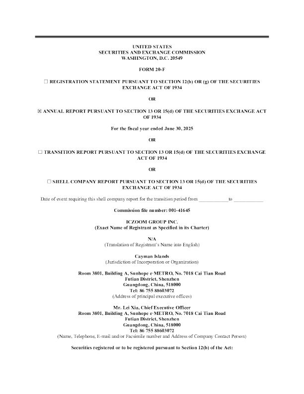 拍明芯城 2025年年度报告和过渡报告
