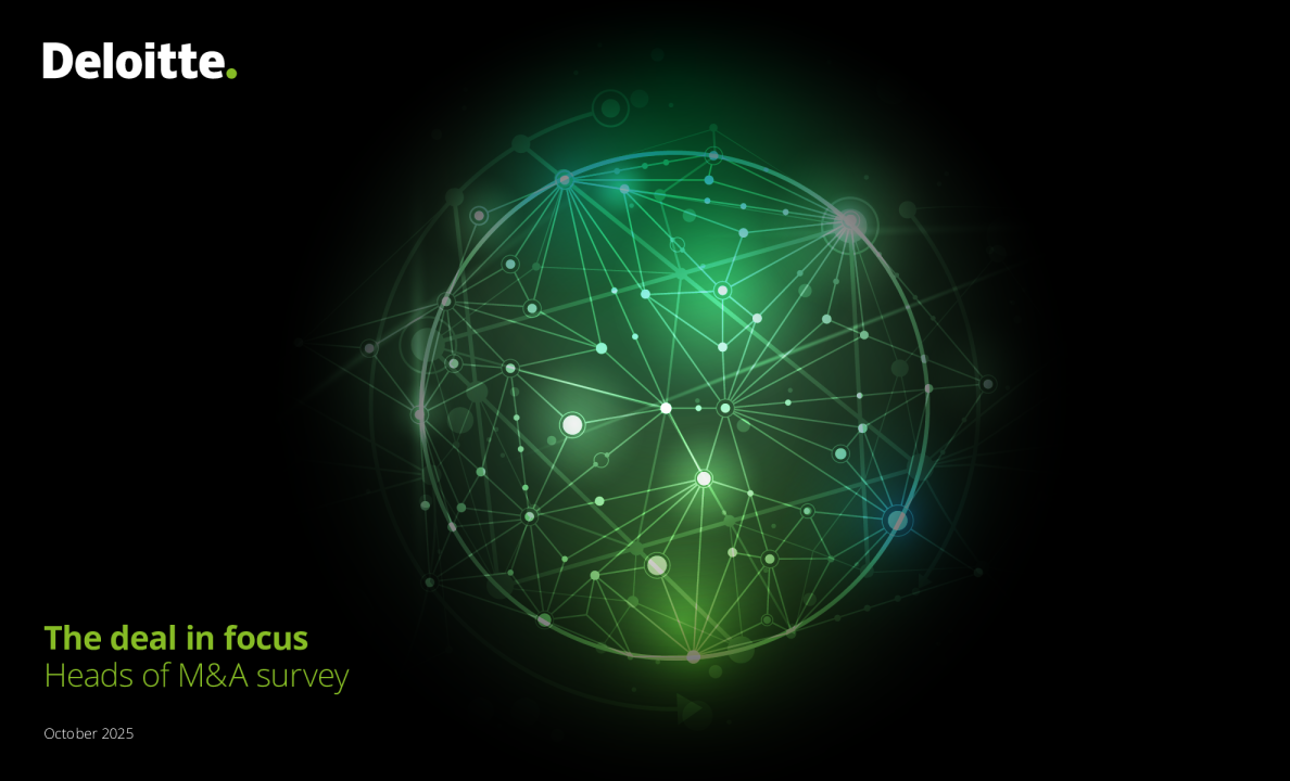 2025年并购负责人调查报告