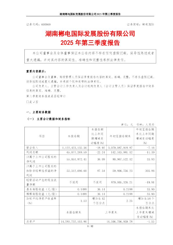 郴电国际：郴电国际2025年第三季度报告