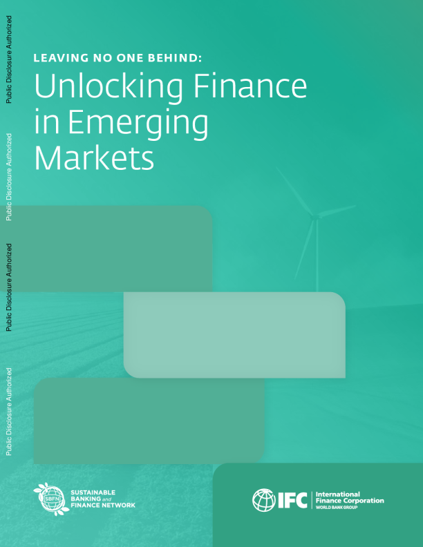 不让任何人掉队：解锁新兴市场的金融