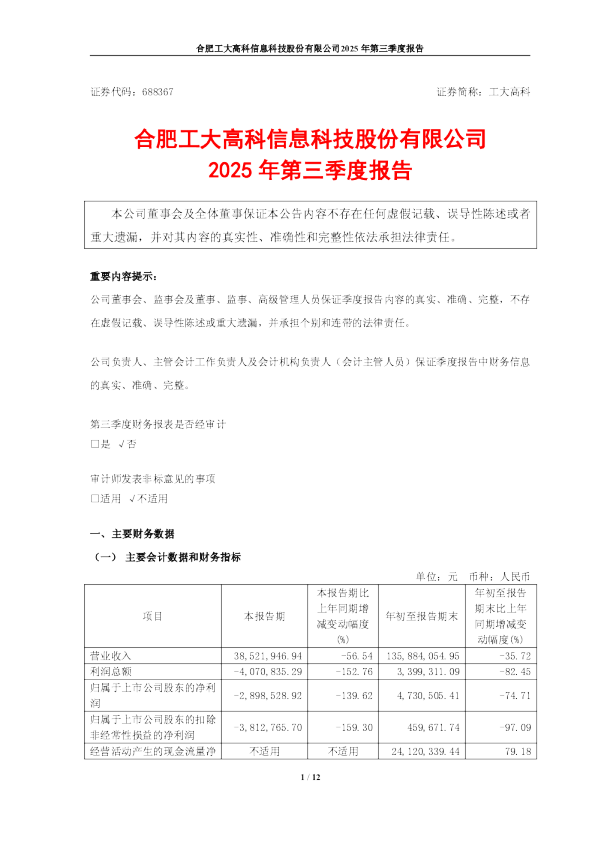 工大高科：工大高科2025年第三季度报告