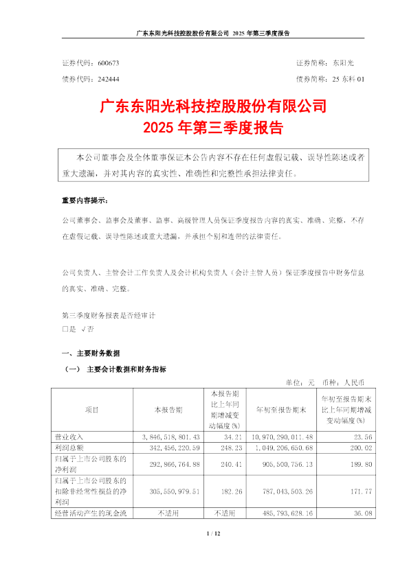 东阳光：东阳光2025年第三季度报告