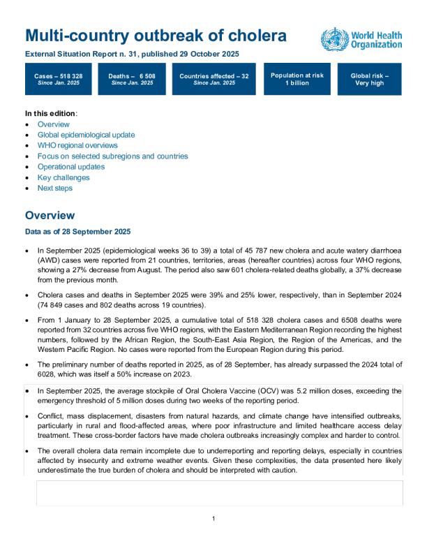 多国霍乱爆发，外部形势报告#31-2025年10月29日
