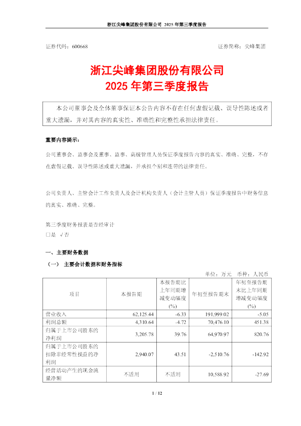 尖峰集团:尖峰集团2025年第三季度报告