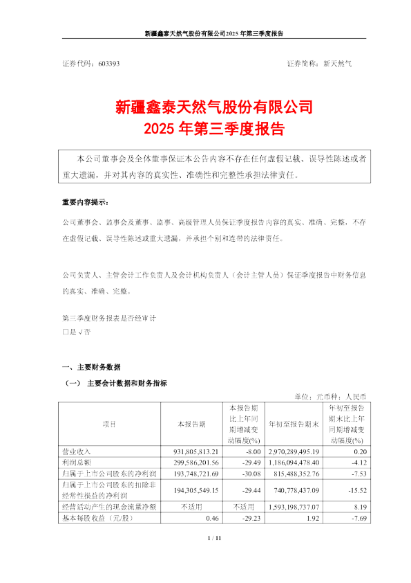 新天然气：新天然气-2025年第三季度报告