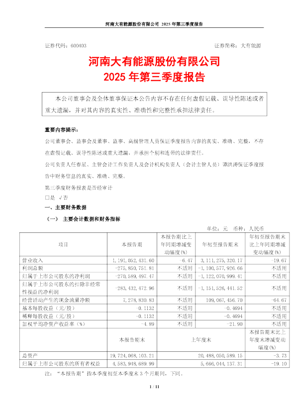 大有能源：河南大有能源股份有限公司2025年第三季度报告