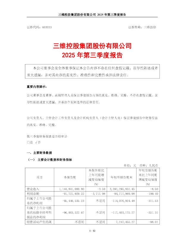 三维股份:三维控股集团股份有限公司2025年第三季度报告