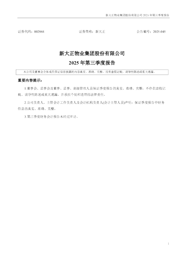 新大正：2025年三季度报告