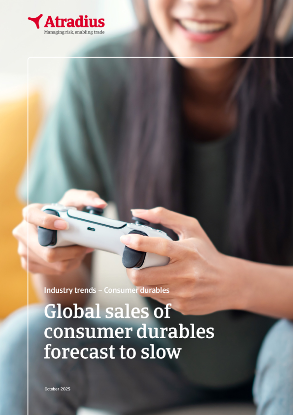 行业趋势耐用消费品/零售2025年10月