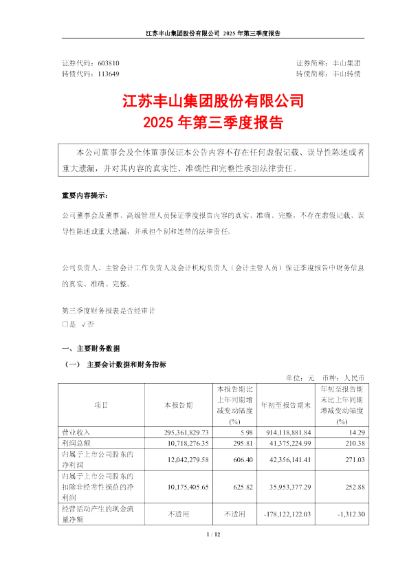 丰山集团：2025年第三季度报告