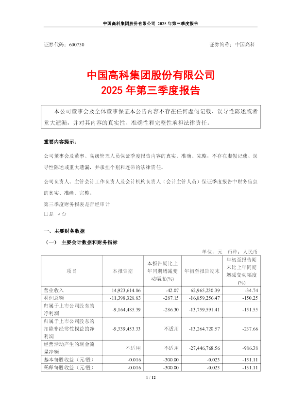 中国高科：中国高科2025年第三季度报告