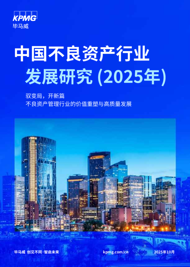 中国不良资产行业发展研究 (2025年)