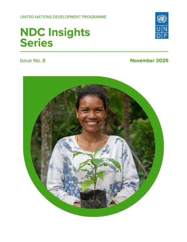 NDC洞察系列（英）