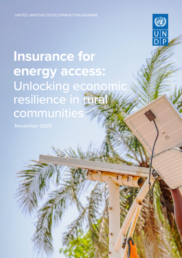 能源获取保险：释放农村社区的经济韧性（英）