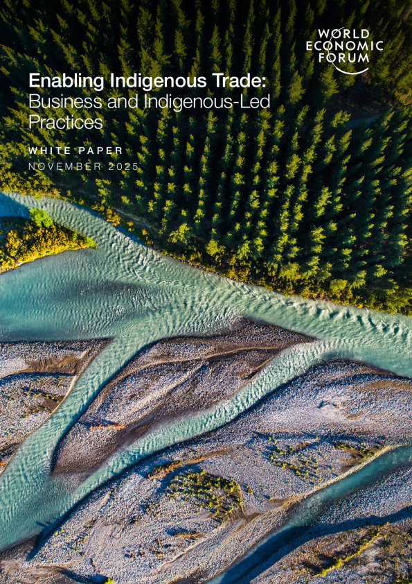 促进本土贸易：商业和本土主导的实践（英）