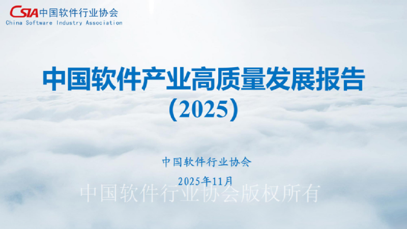 中国软件产业高质量发展报告（2025）