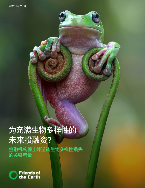 为充满生物多样性的未来投融资？金融机构停止并逆转生物多样性损失的关键考量