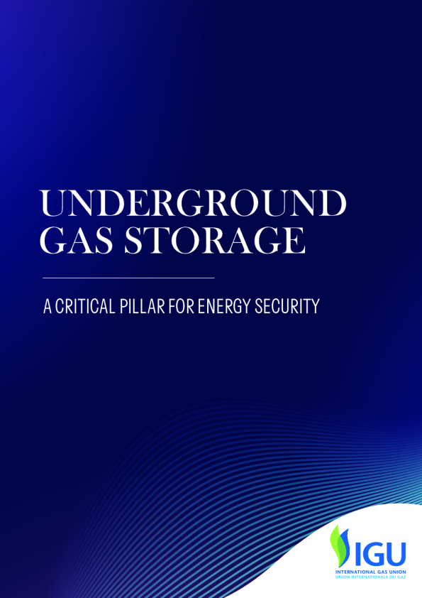 地下储气库：能源安全的关键支柱