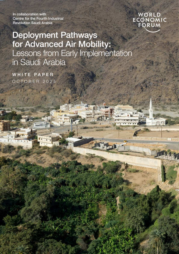 先进空中机动的部署路径：沙特阿拉伯早期实施的经验教训