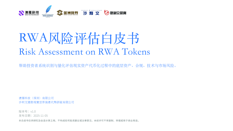 RWA风险评估白皮书