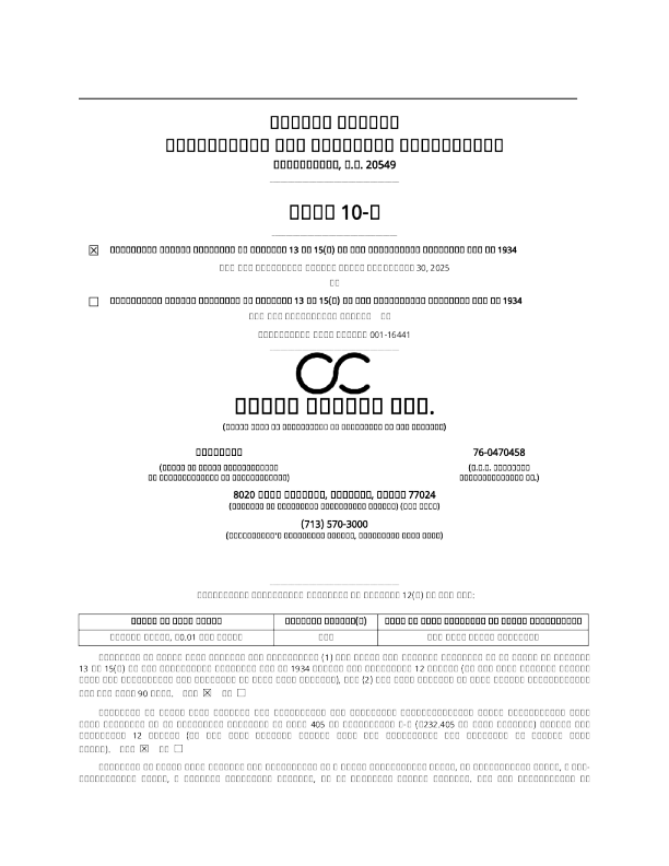 冠城 2025年季度报告