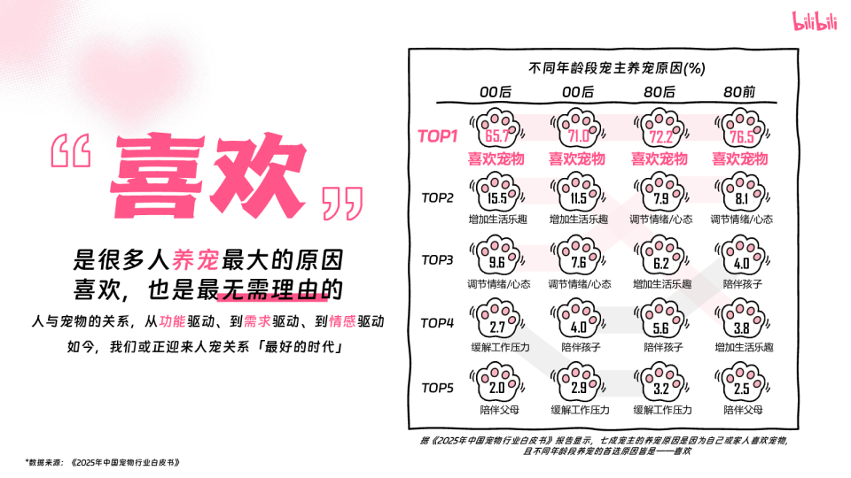 哔哩哔哩2025年宠物行业营销通案
