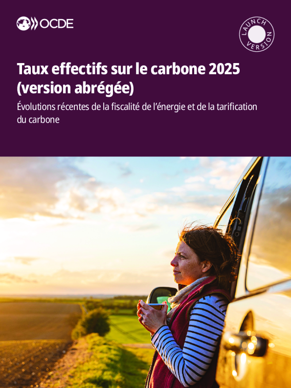 2025年碳排放的Taux效应（缩写版）：能源财政和碳关税的演变