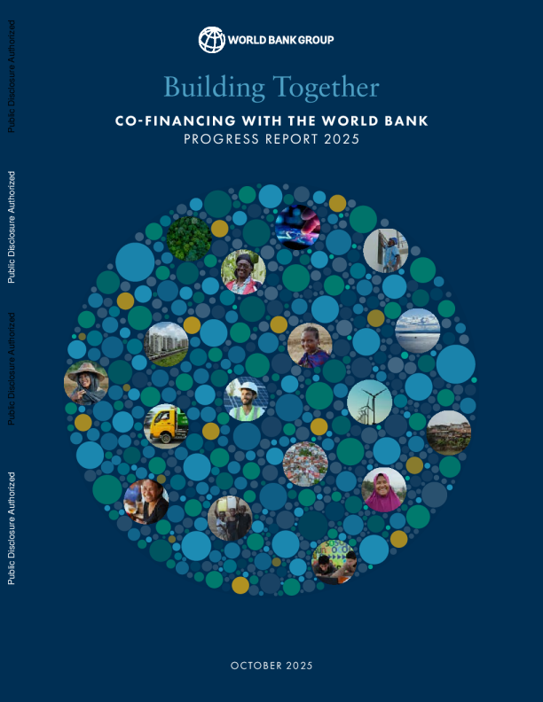 共同建设：与世界银行共同融资——2025年进展报告