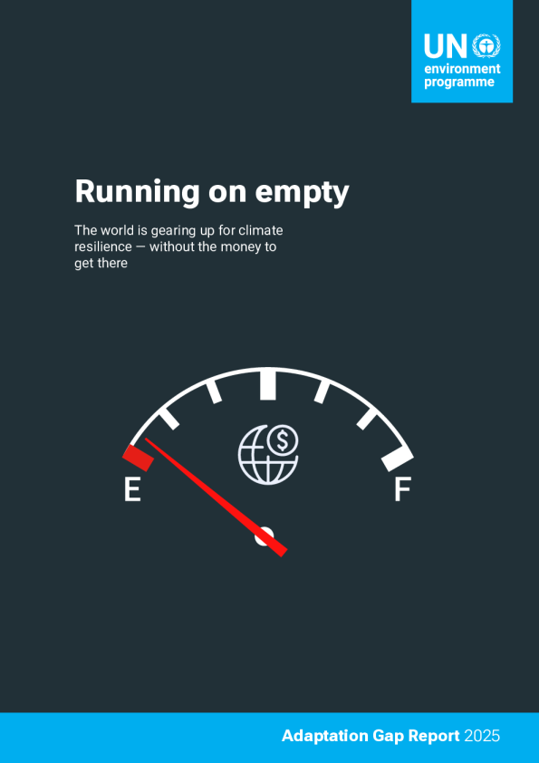 2025年适应差距报告（英）