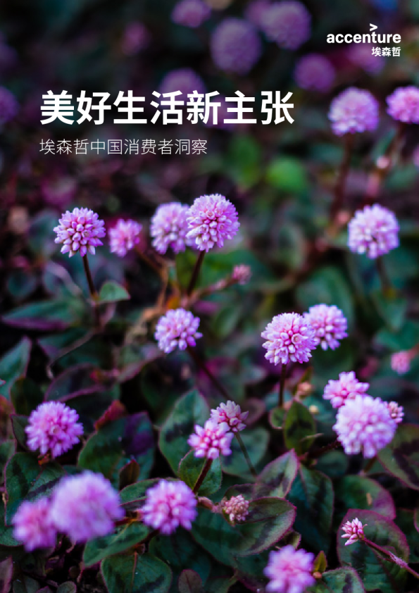 埃森哲中国消费者洞察：美好生活新主张