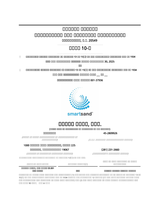 智能沙公司2025年季度报告