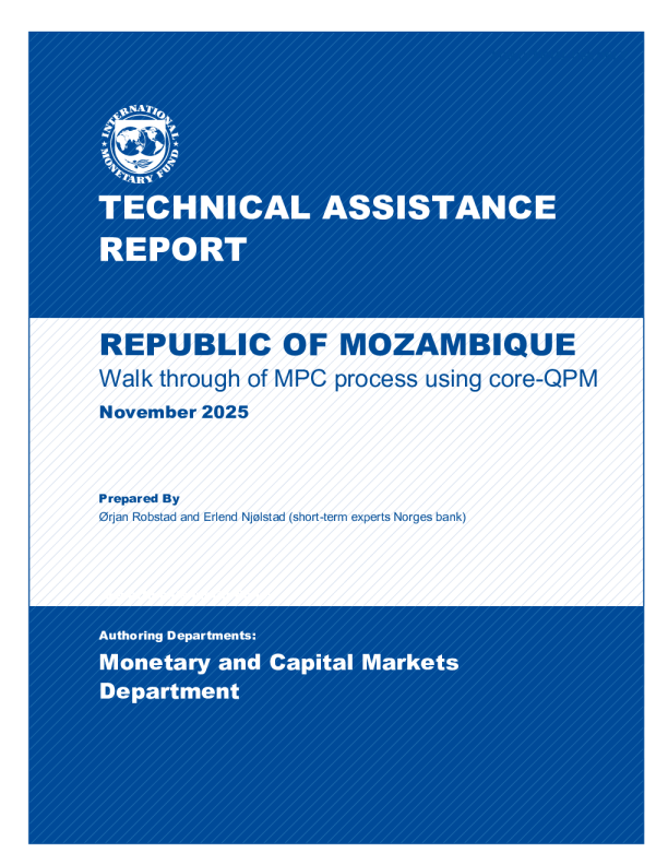 莫桑比克共和国：使用核心QPM对MPC过程进行技术援助报告演练