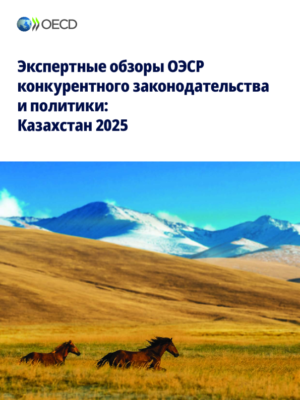 经合组织关于竞争法律与政策的专家审查：哈萨克斯坦2025