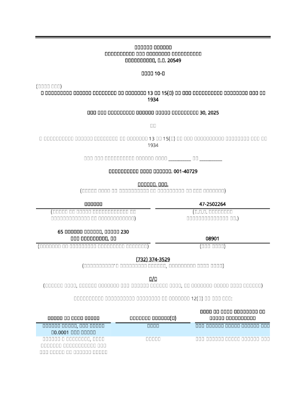 Myseum Inc 2025年季度报告