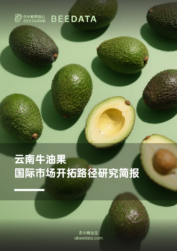 2025年云南牛油果国际市场开拓路径研究简报